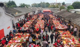 东村视频,揭秘乡村生活新篇章